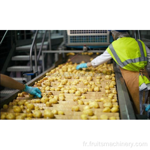 Machine de lavage et de pelage de la ligne de production de frites